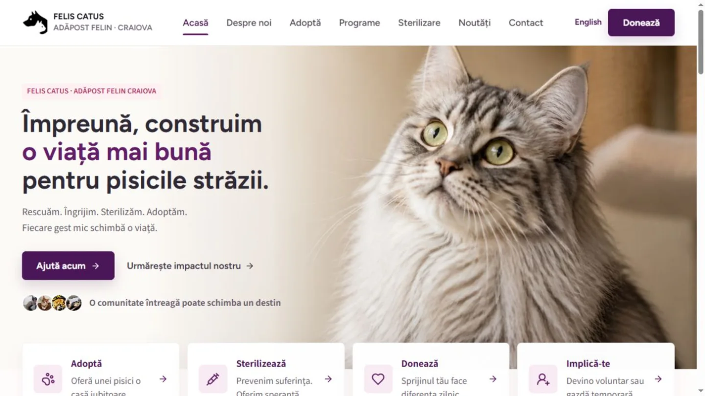 Pagina principală Felis Catus, adăpost felin din Craiova