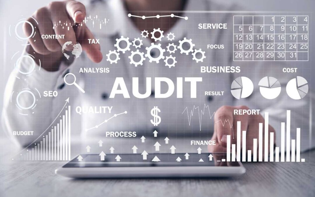 Audit Rapid de Site: Cum să-ți Evaluezi Singur Prezența Online și Ce Întrebări Să Pui unui Specialist în Craiova