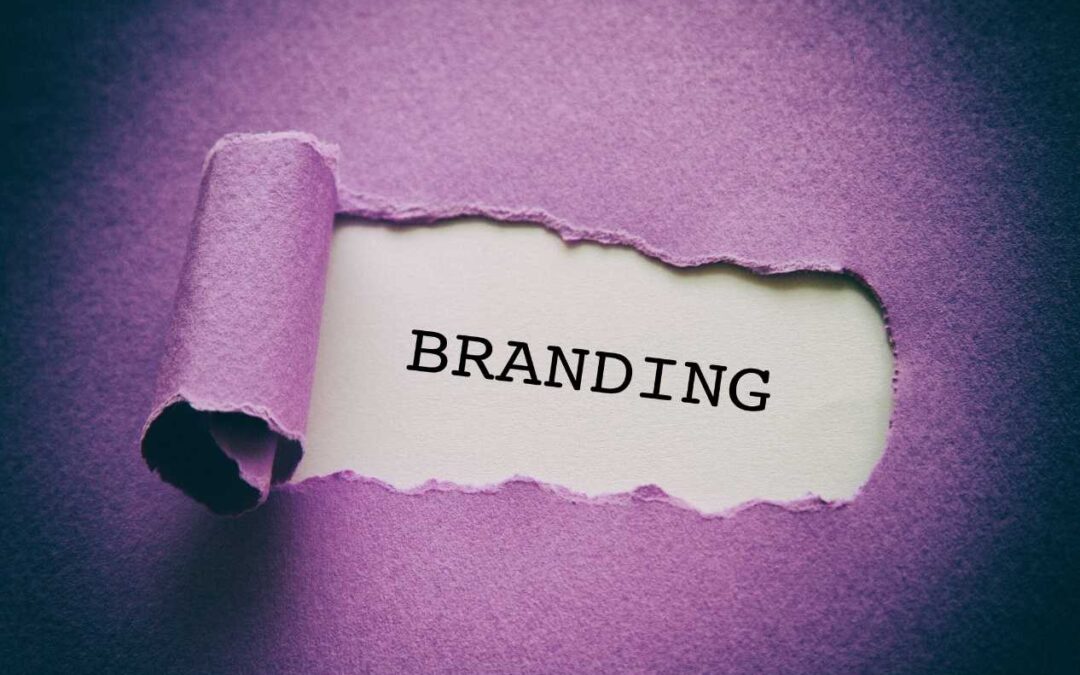 Branding prin Design Interior: Cum Arată Magazinul Tău Din Craiova Reflectă Identitatea Brandului