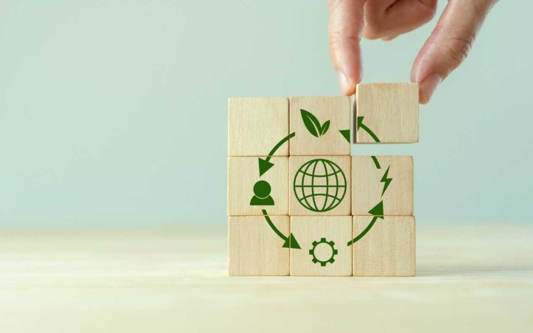 Economia Circulară Locală: Oportunități de Business Sustenabil și Branding Verde în Craiova